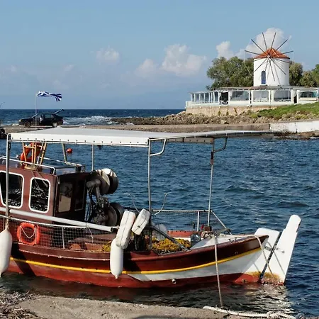 Sapera In Apartment